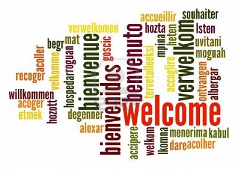 welcome-auditor-service